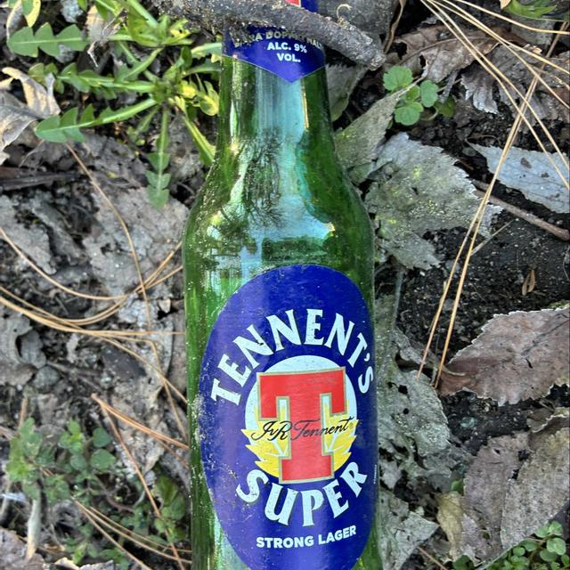 Recent check-in photo 3