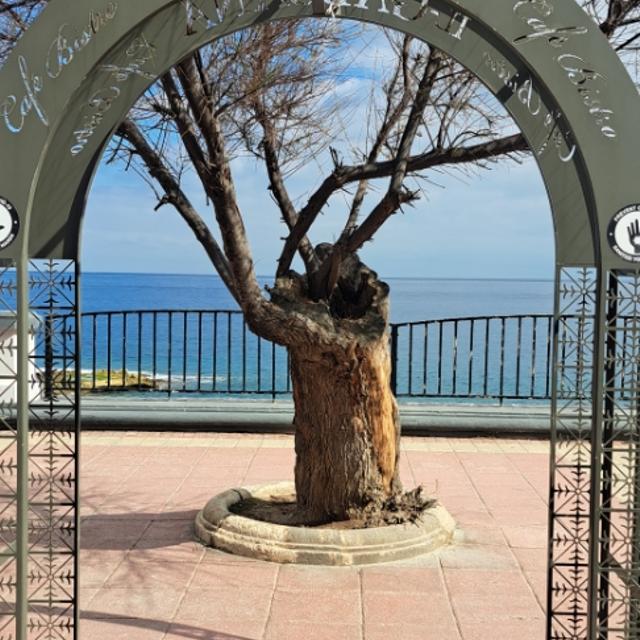 Recent check-in photo 4