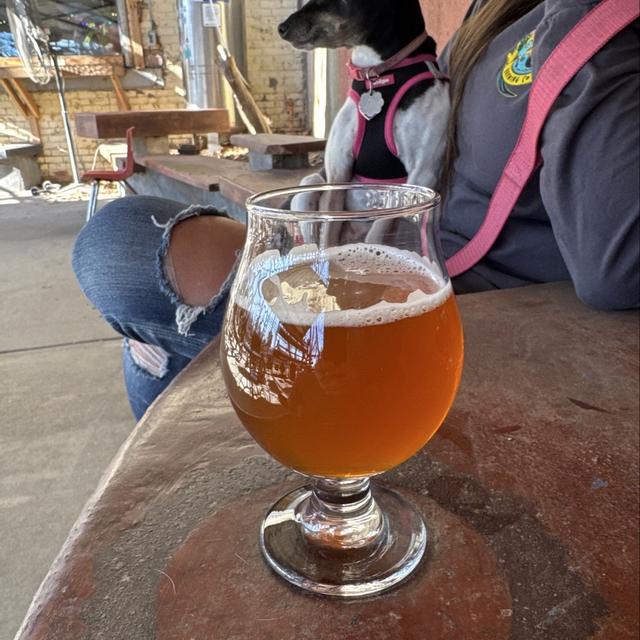 Recent check-in photo 4