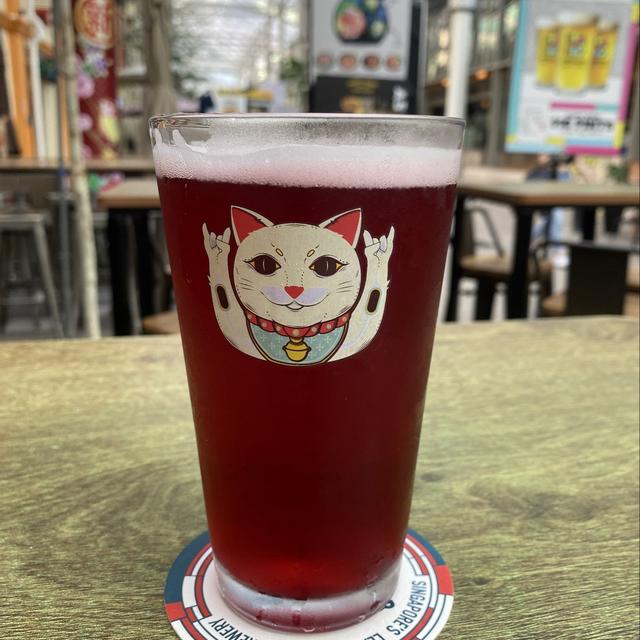 Recent check-in photo 3