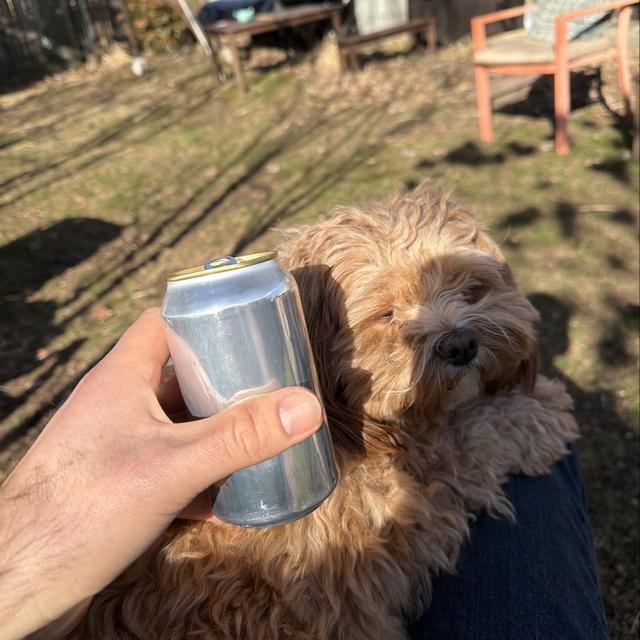 Recent check-in photo 4