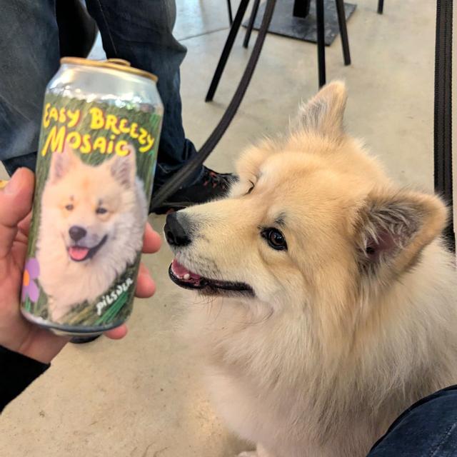 Recent check-in photo 3