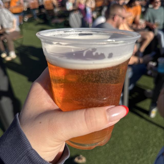 Recent check-in photo 6