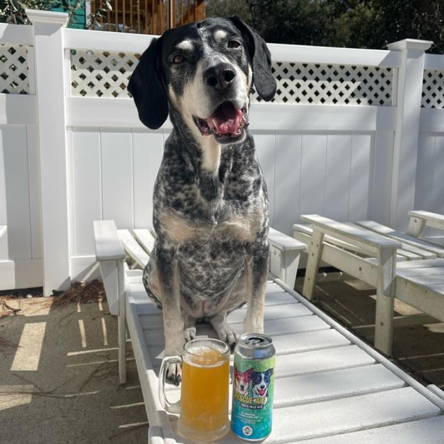 Recent check-in photo 5