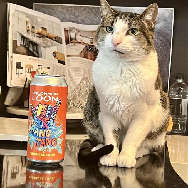 Recent check-in photo 2