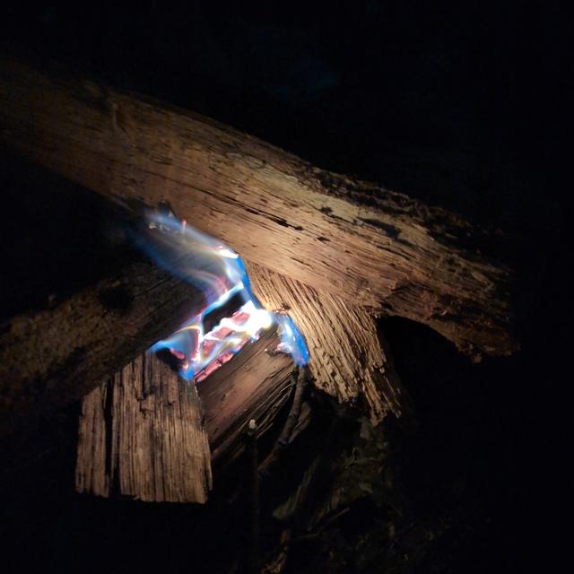 Recent check-in photo 2