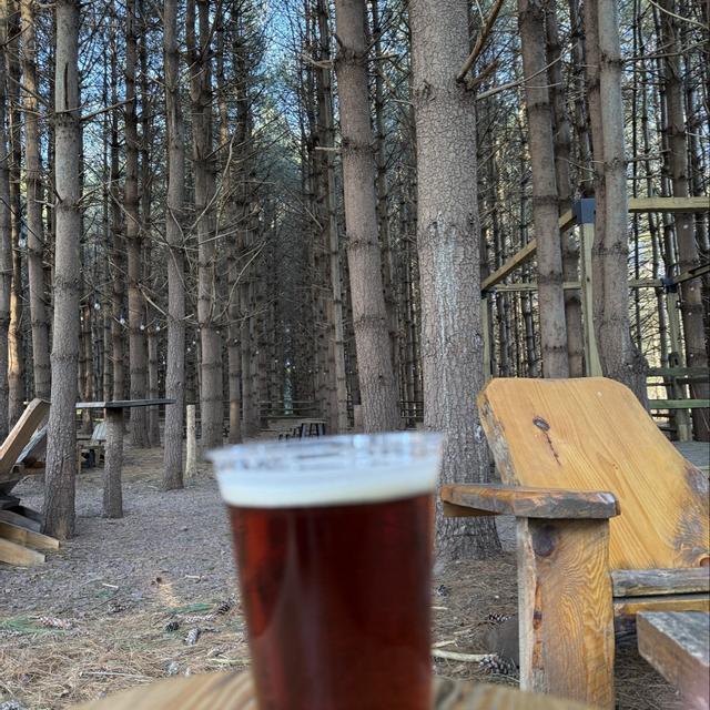 Recent check-in photo 5