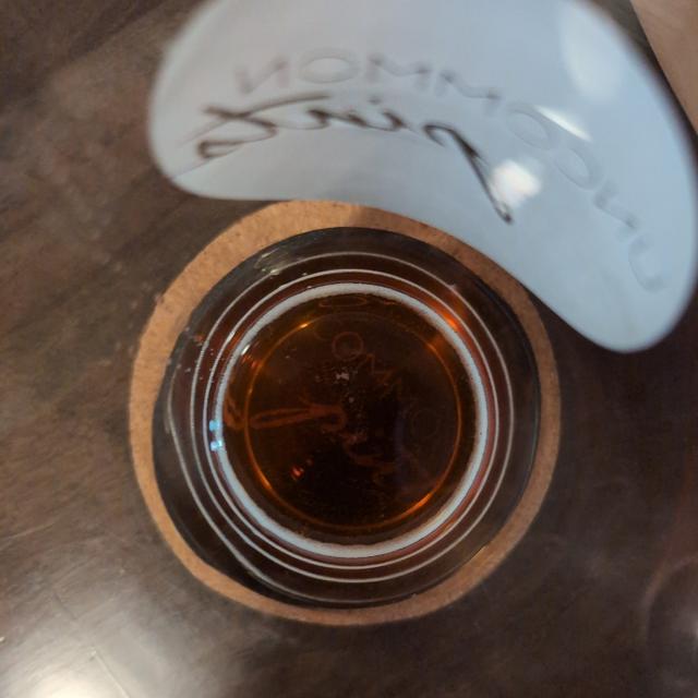 Recent check-in photo 6