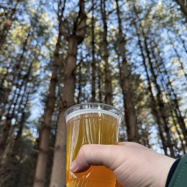 Recent check-in photo 4