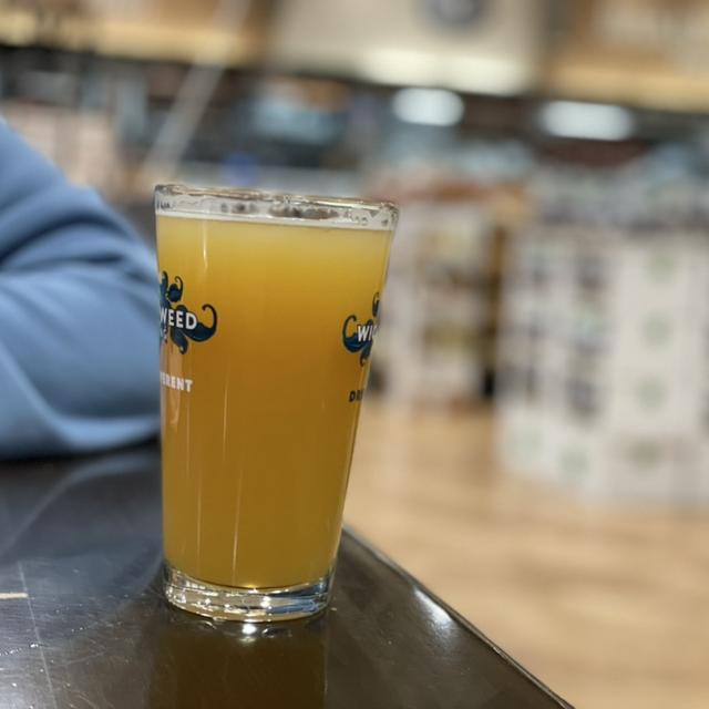 Recent check-in photo 6