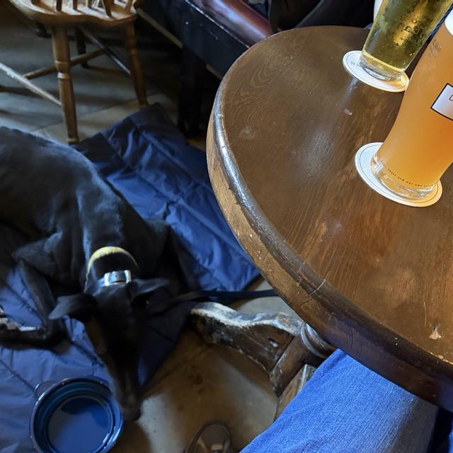 Recent check-in photo 3