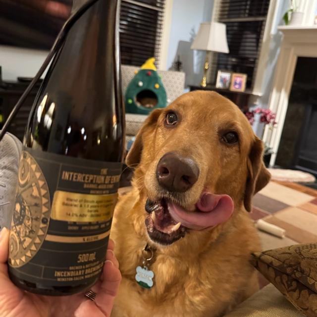 Recent check-in photo 4