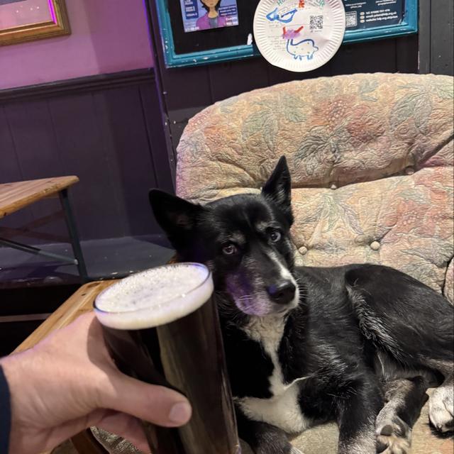 Recent check-in photo 1