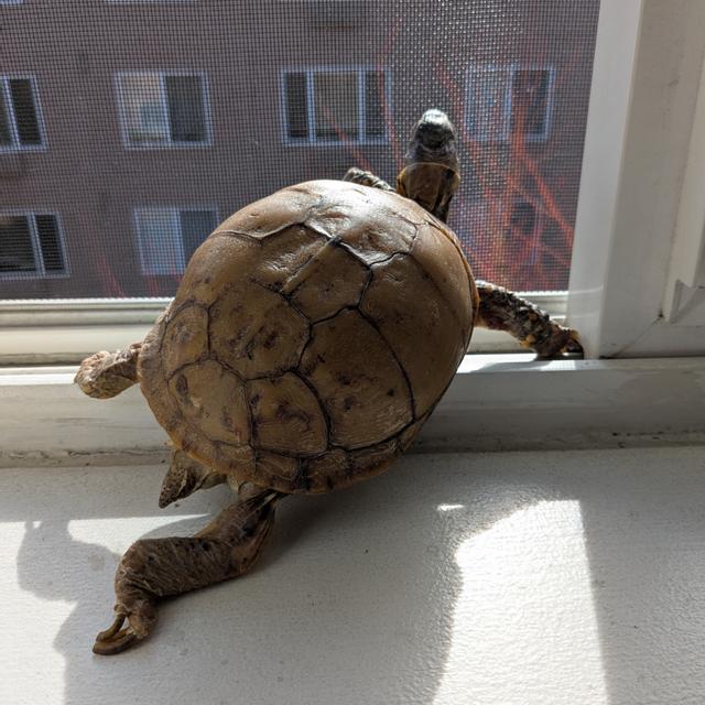 Recent check-in photo 6