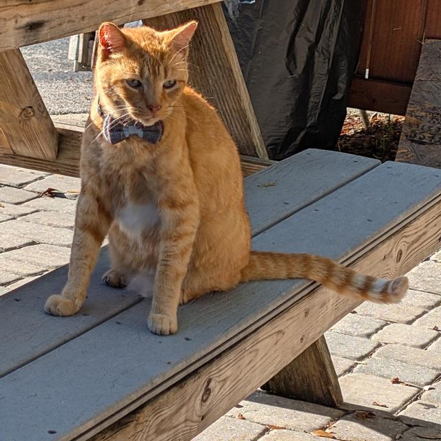 Recent check-in photo 4