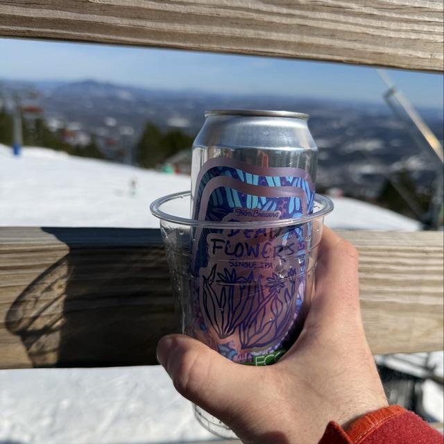 Recent check-in photo 1