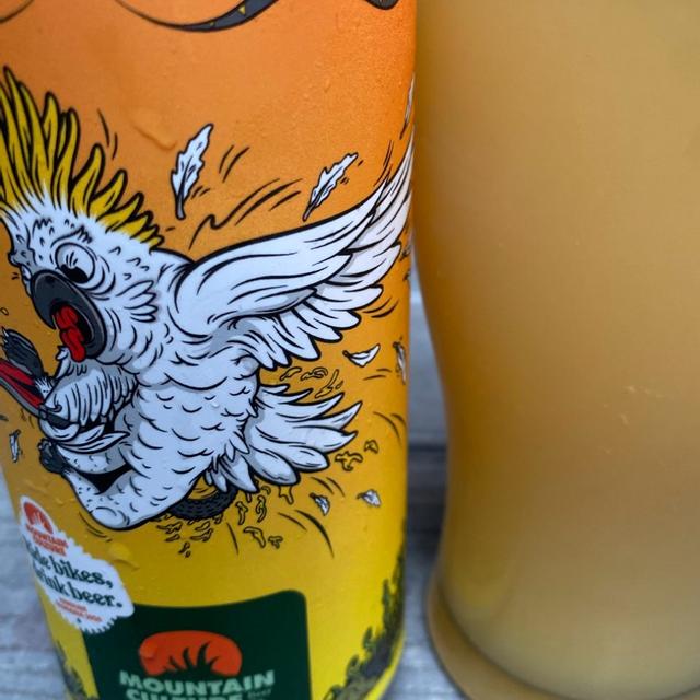 Recent check-in photo 2