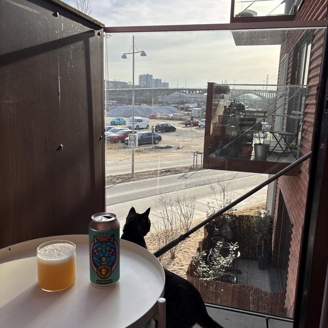 Recent check-in photo 2