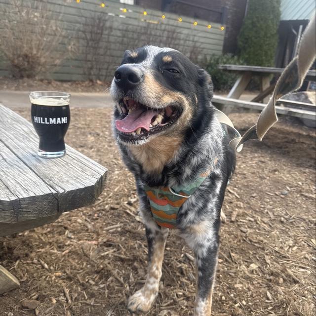 Recent check-in photo 4