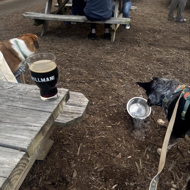 Recent check-in photo 3