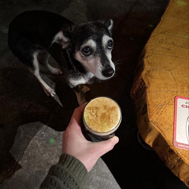 Recent check-in photo 1