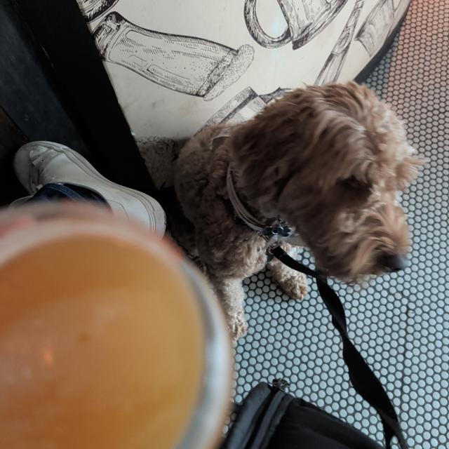 Recent check-in photo 2