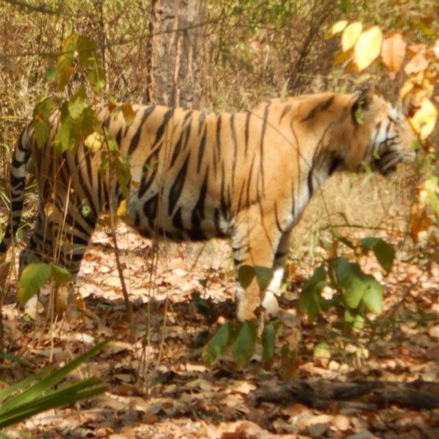 Recent check-in photo 2