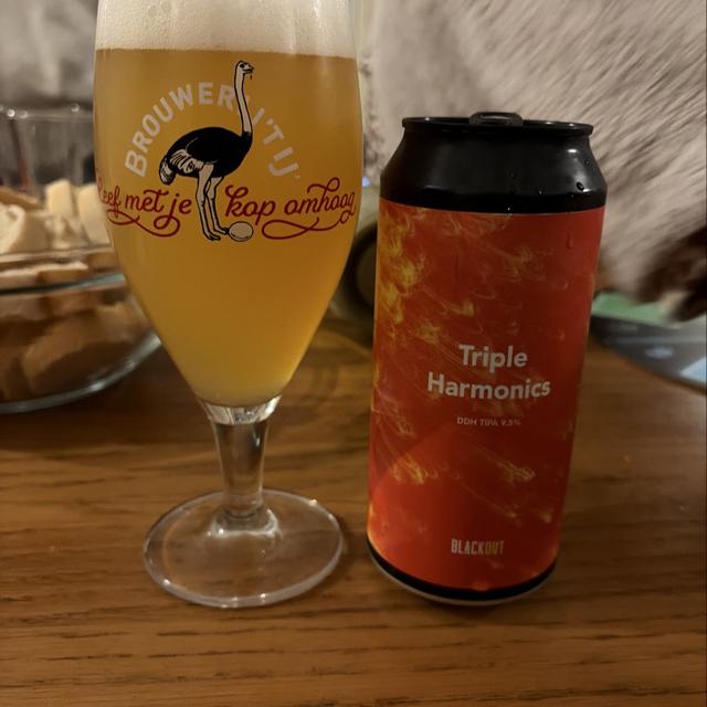 Recent check-in photo 6