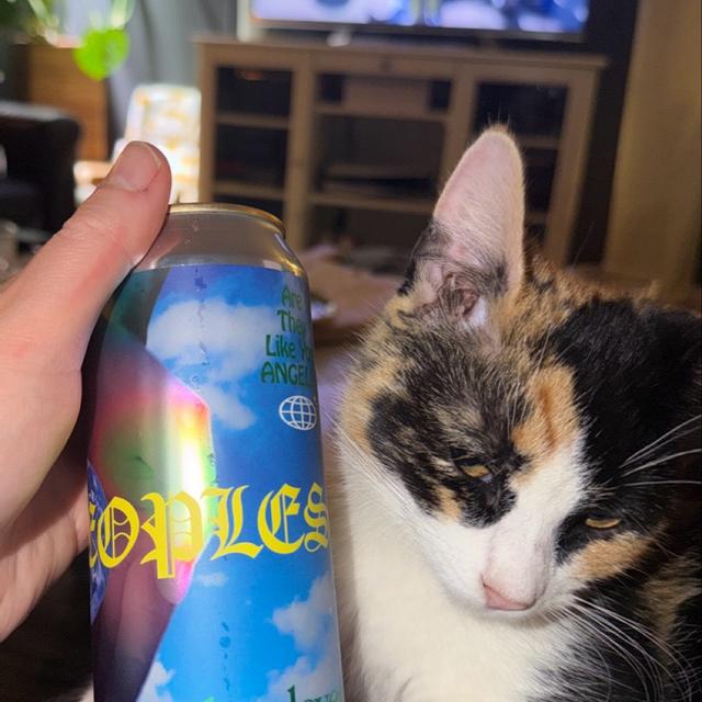 Recent check-in photo 1