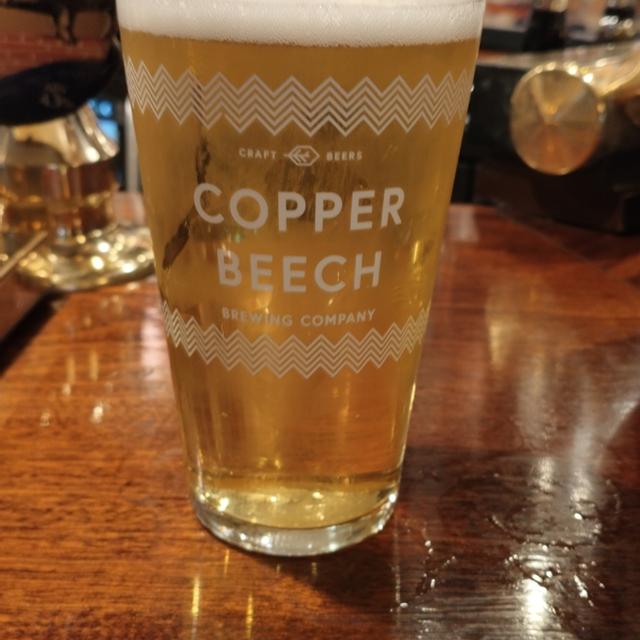 Recent check-in photo 4