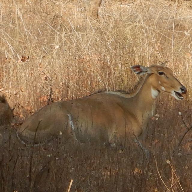 Recent check-in photo 3