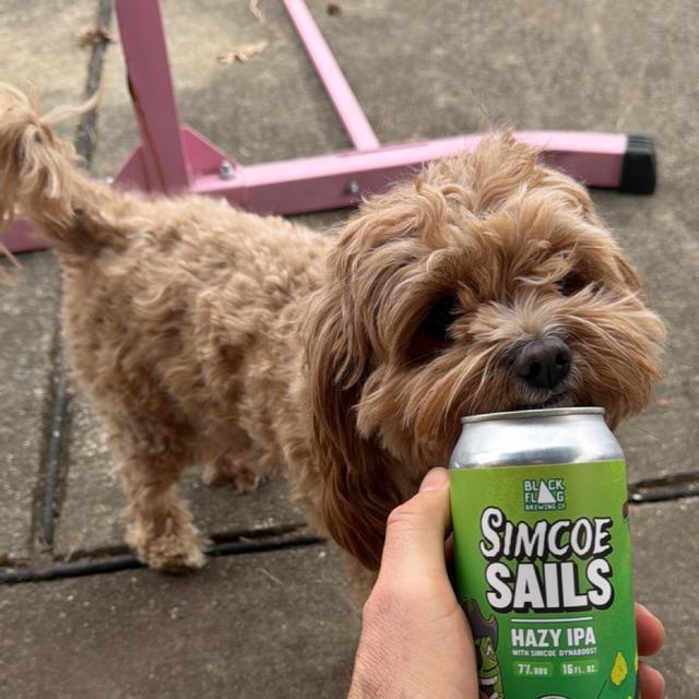 Recent check-in photo 3