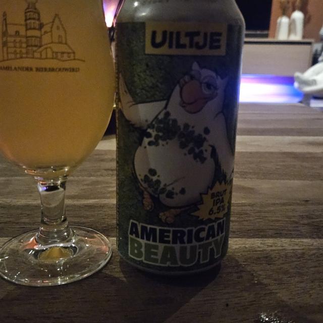 Recent check-in photo 2