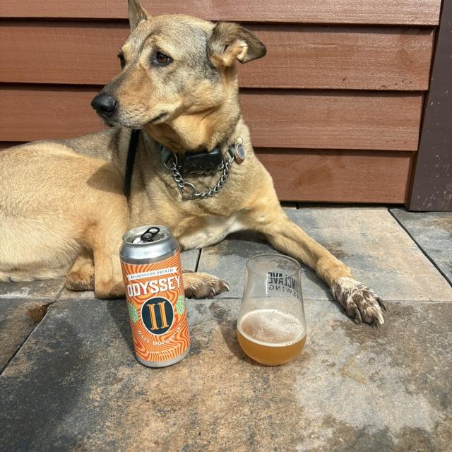 Recent check-in photo 4