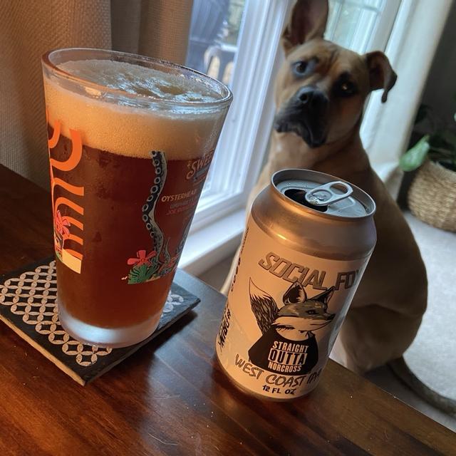 Recent check-in photo 1