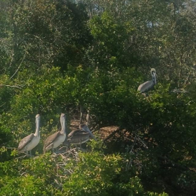 Recent check-in photo 5