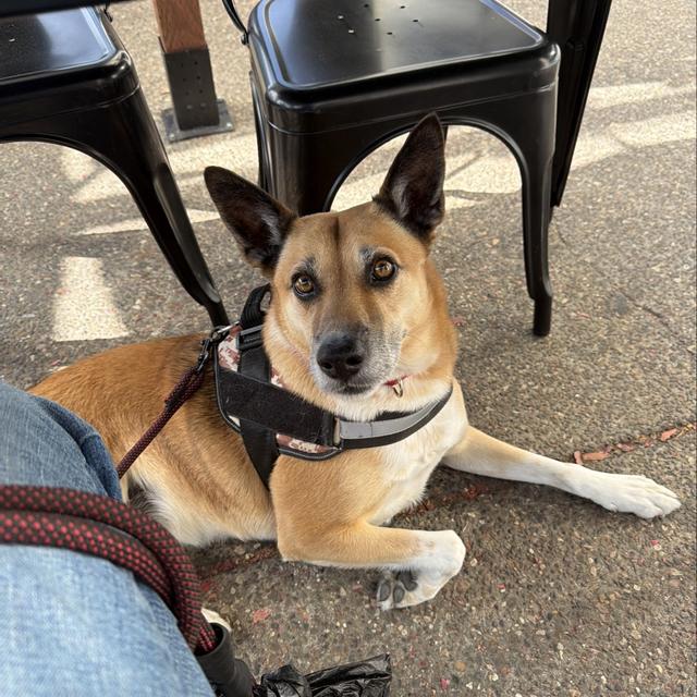 Recent check-in photo 1