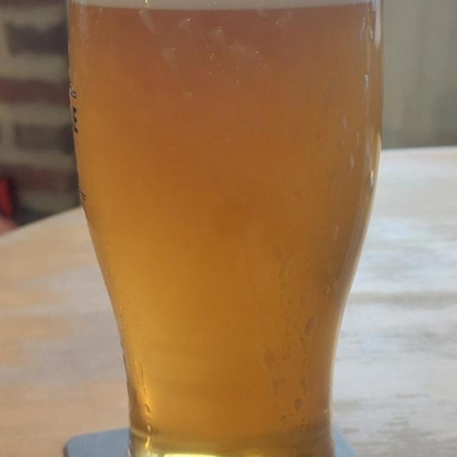 Recent check-in photo 6