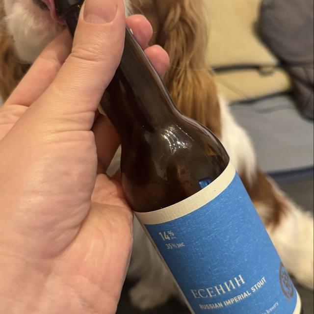 Recent check-in photo 5