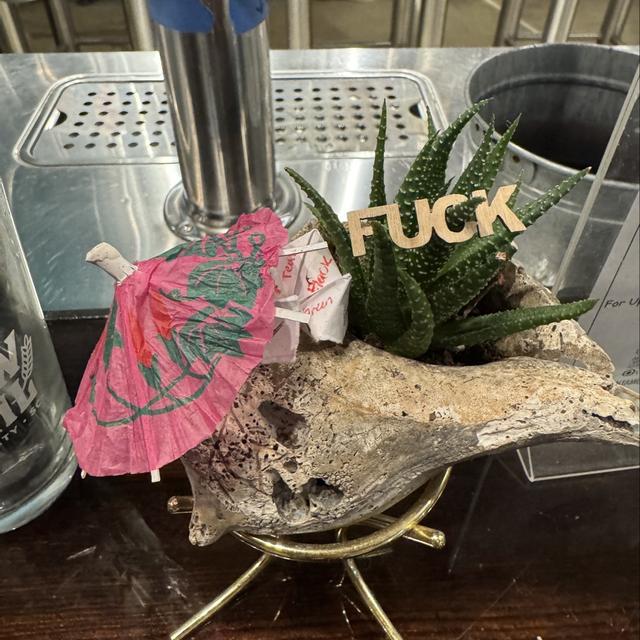 Recent check-in photo 2