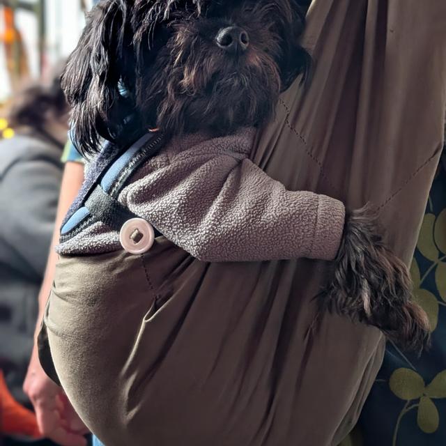 Recent check-in photo 1