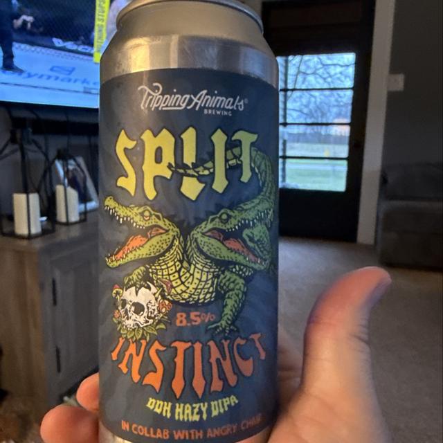 Recent check-in photo 4