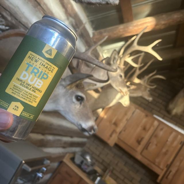 Recent check-in photo 3