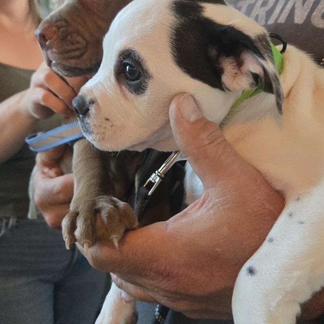 Recent check-in photo 3