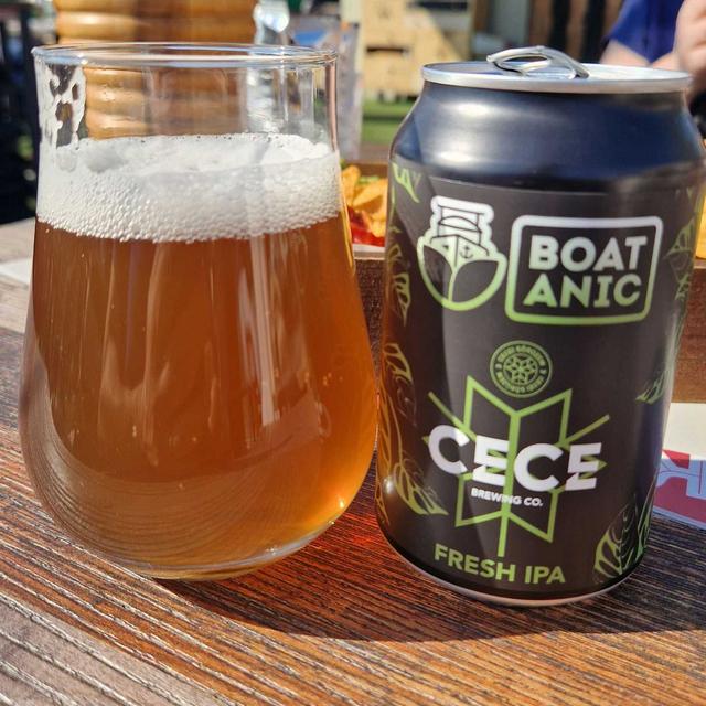 Recent check-in photo 4