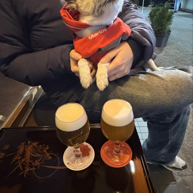 Recent check-in photo 4