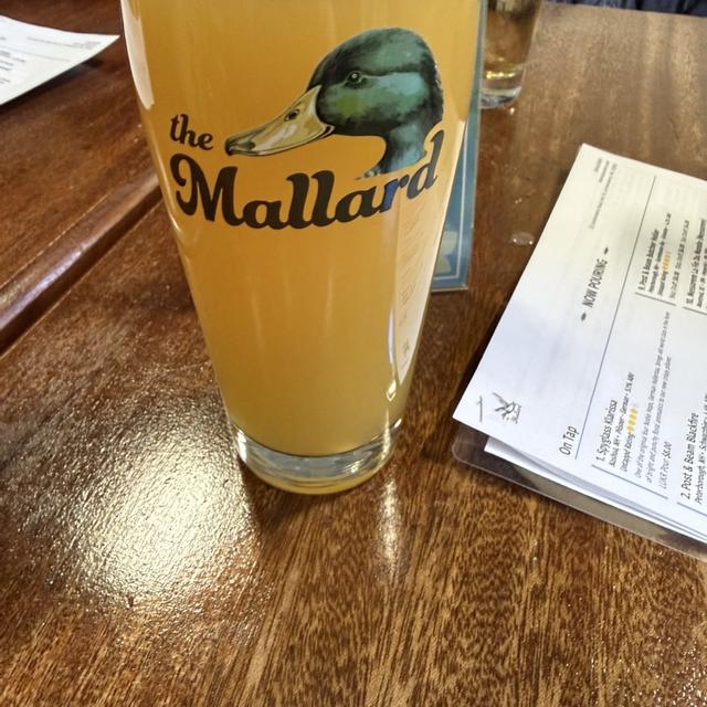 Recent check-in photo 2