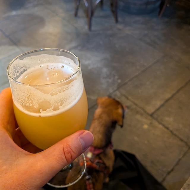 Recent check-in photo 6