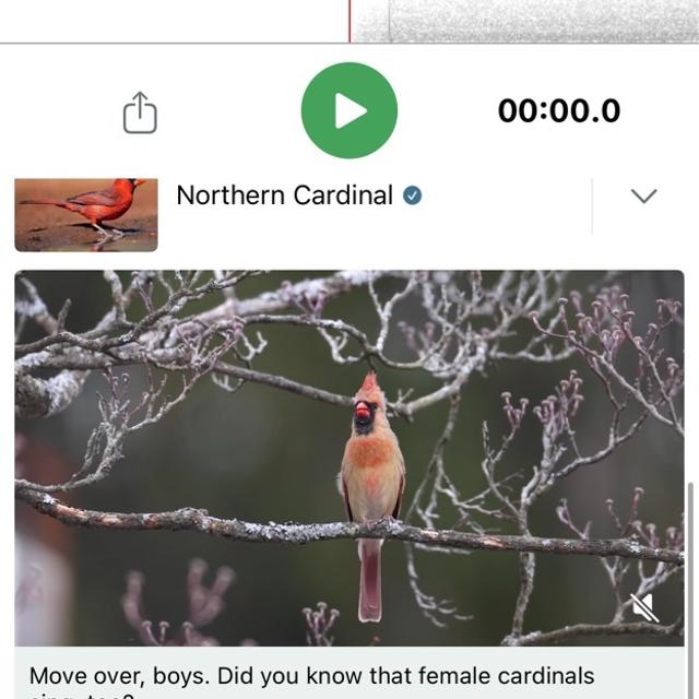 See all photos