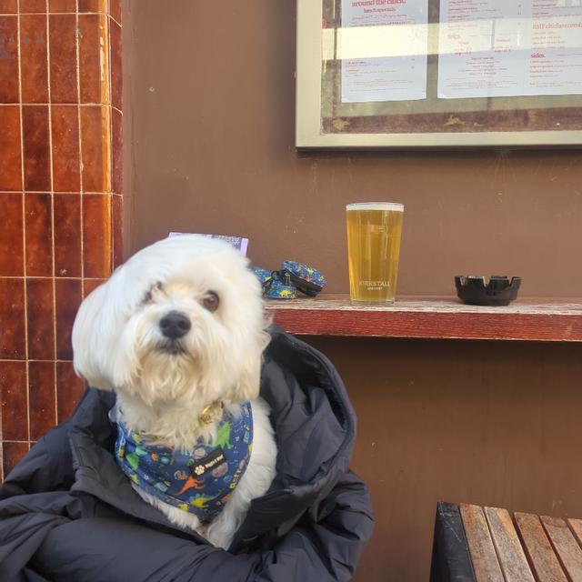 Recent check-in photo 4